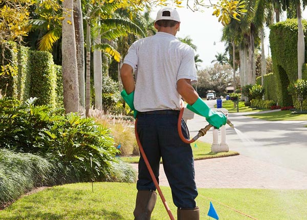 About Poteet TX Pest Control